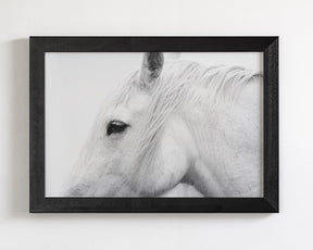 White Horse Profile