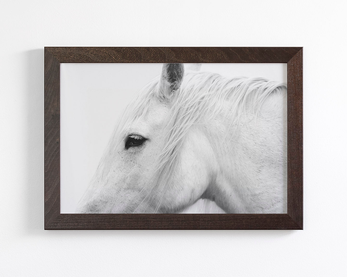 White Horse Profile
