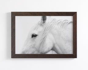 White Horse Profile