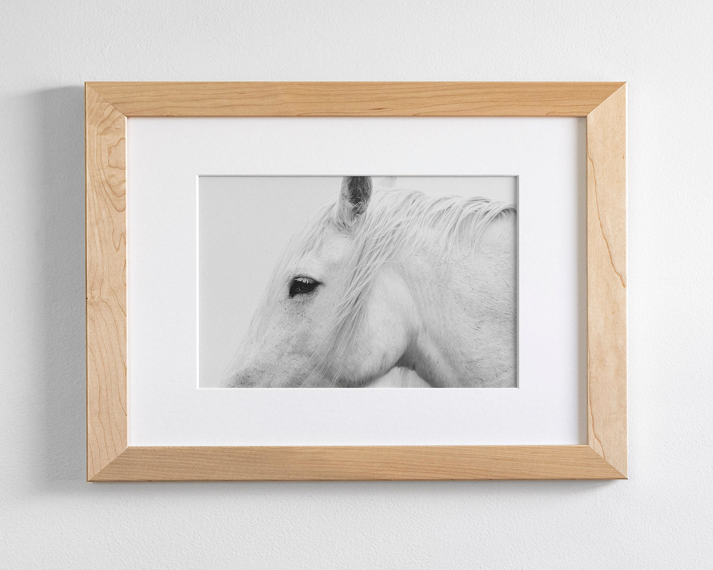 White Horse Profile