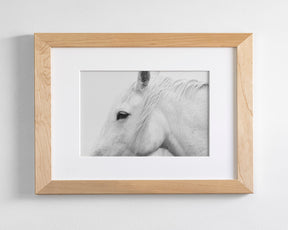 White Horse Profile
