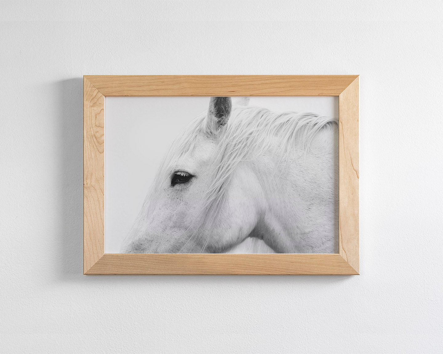 White Horse Profile
