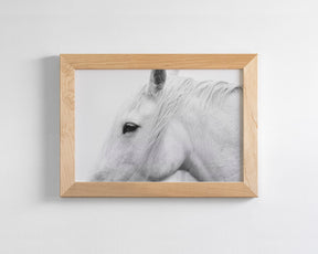White Horse Profile