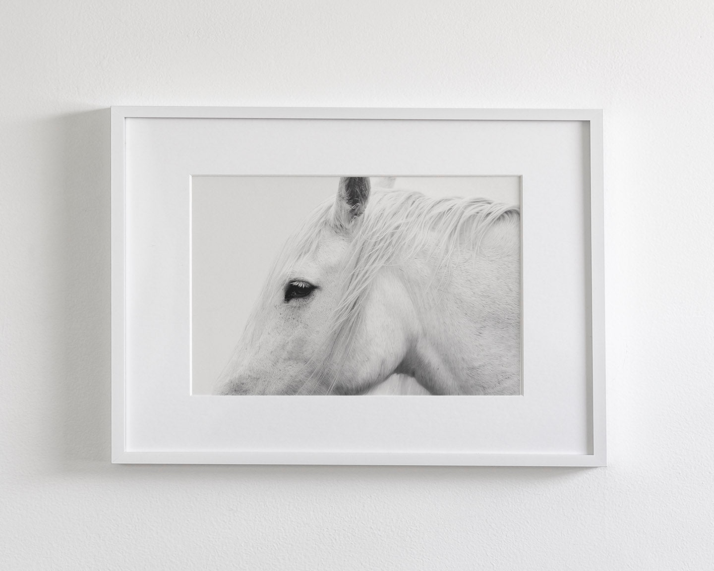 White Horse Profile