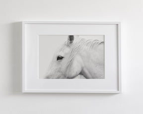 White Horse Profile
