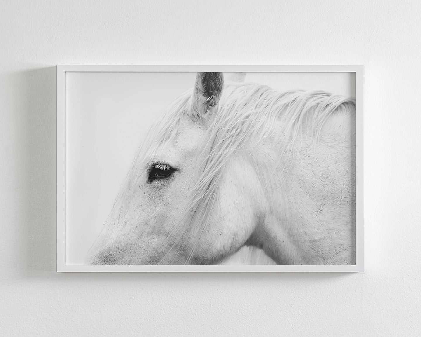 White Horse Profile