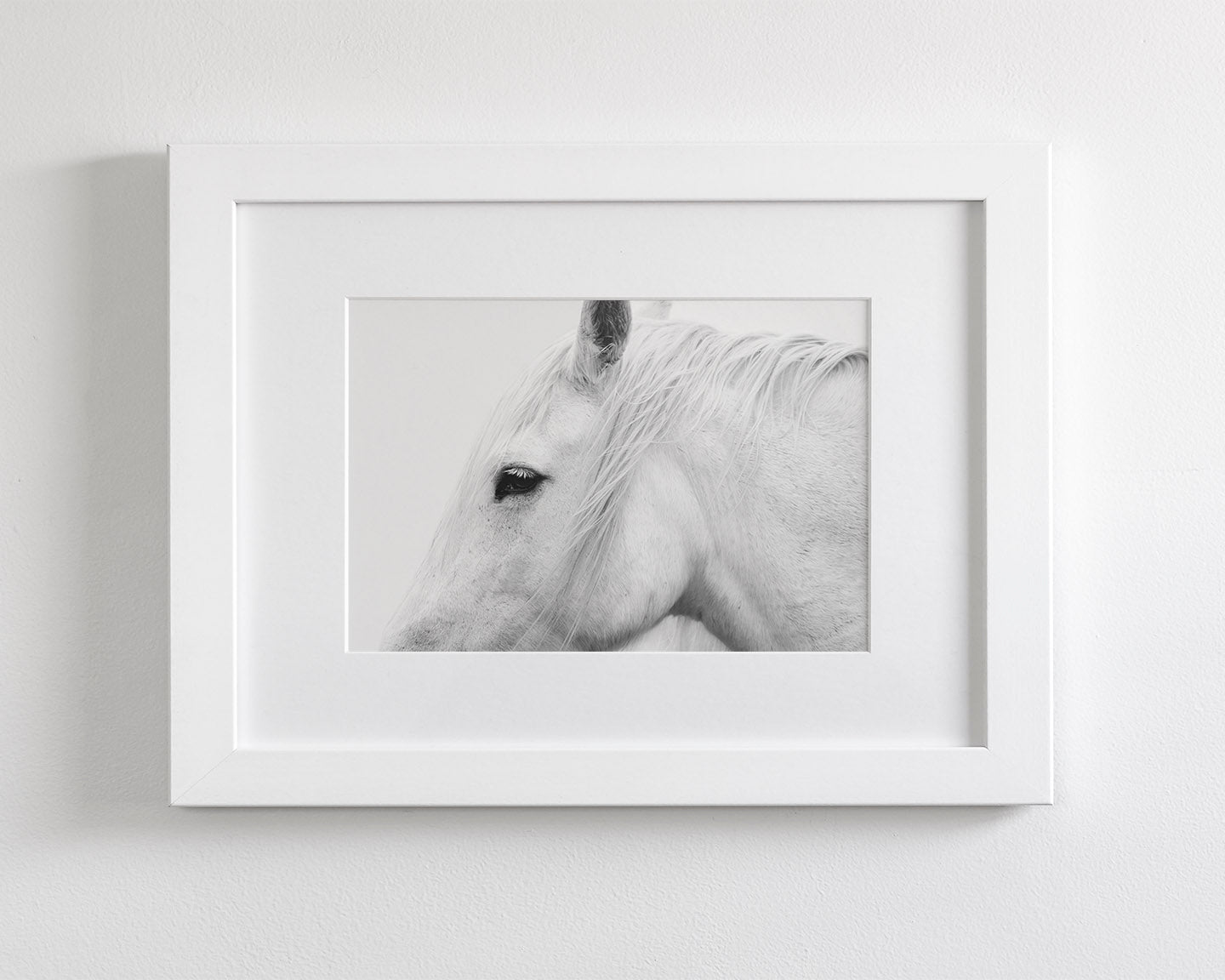 White Horse Profile
