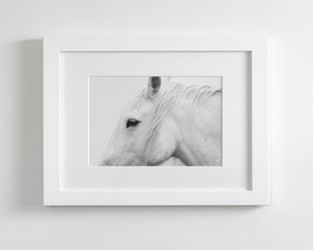 White Horse Profile