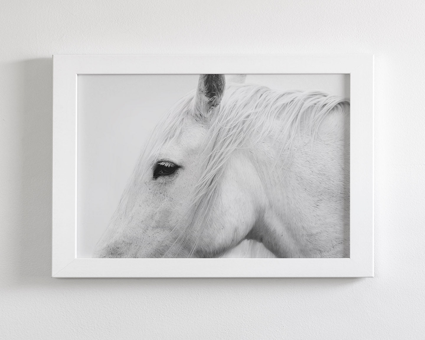 White Horse Profile