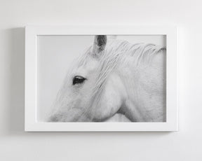 White Horse Profile
