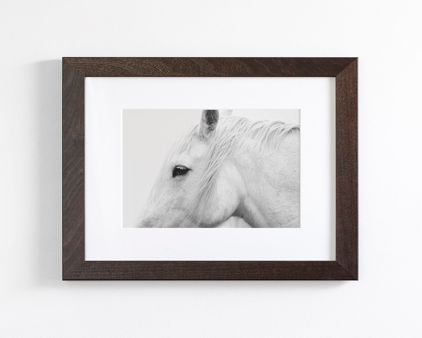 White Horse Profile