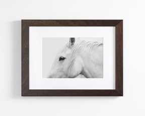 White Horse Profile