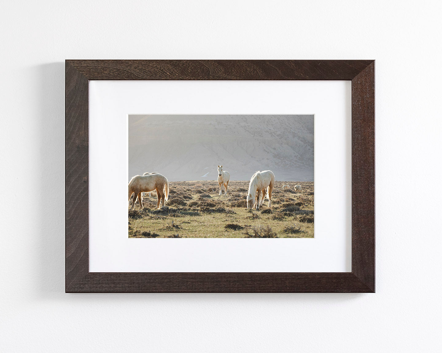 Wild Horses in Fog, Color