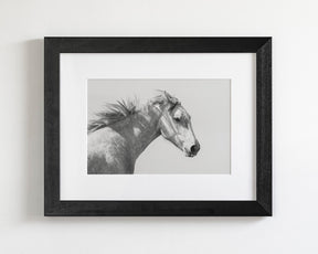 Light and Shadows, Horse Portrait