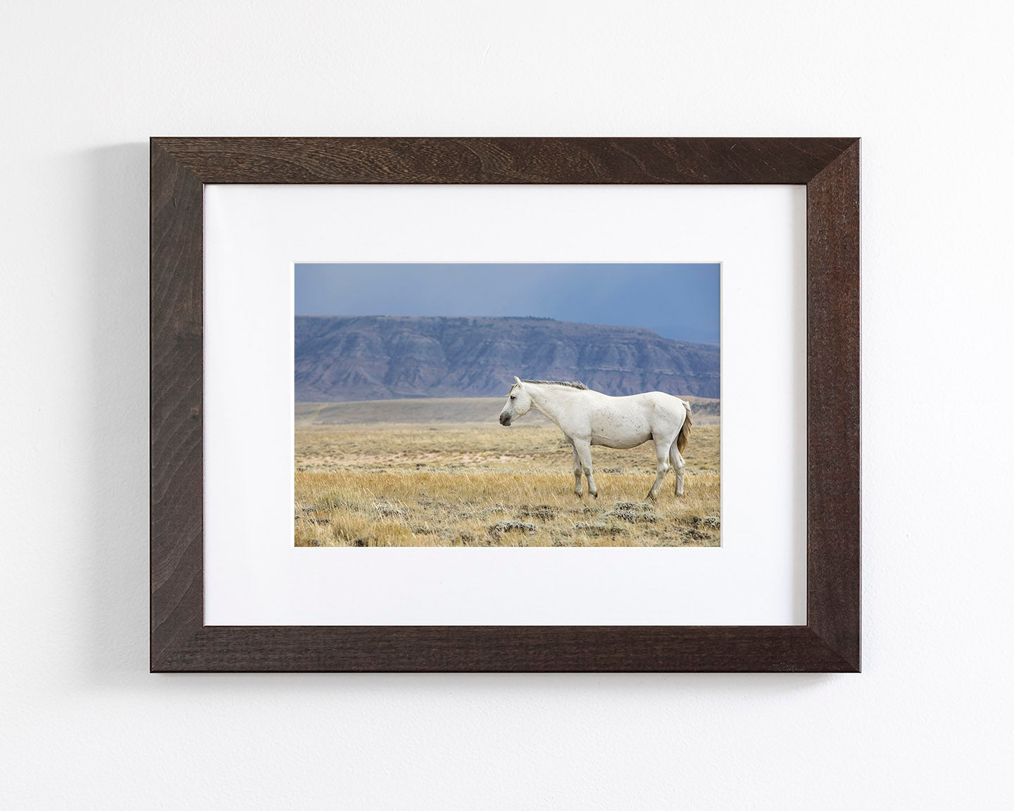 White Stallion Survey