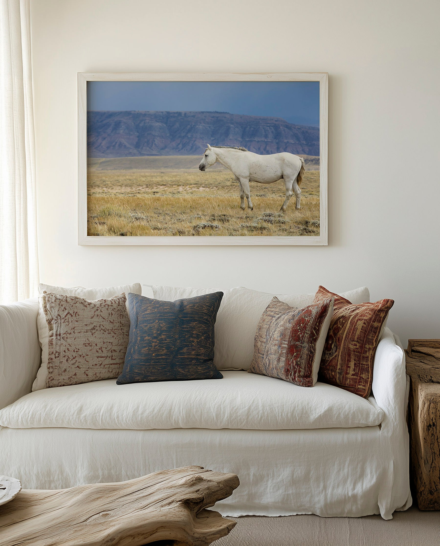 White Stallion Survey