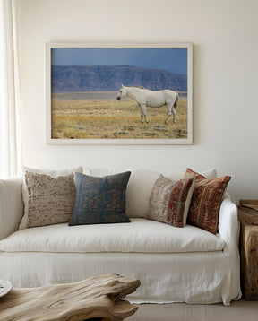 White Stallion Survey