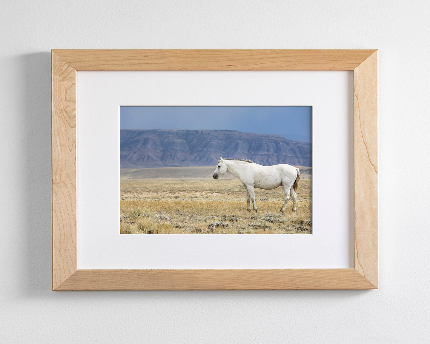 White Stallion Survey