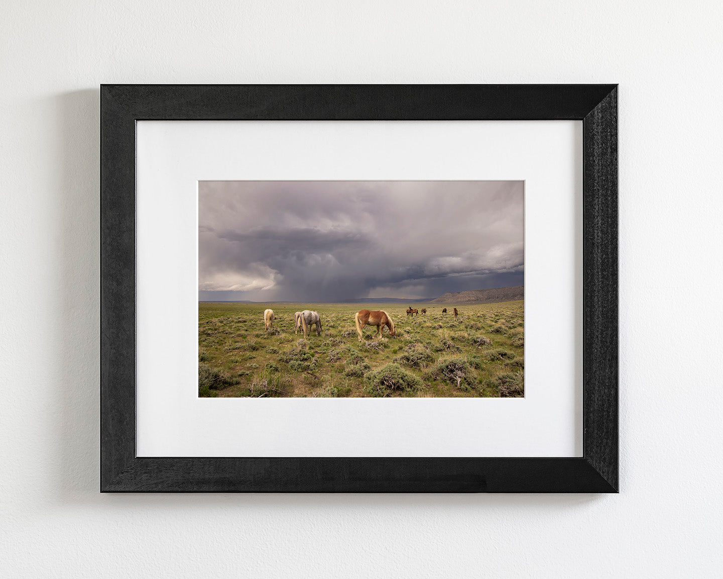 Grazing Before The Storm, Color Wild Horses