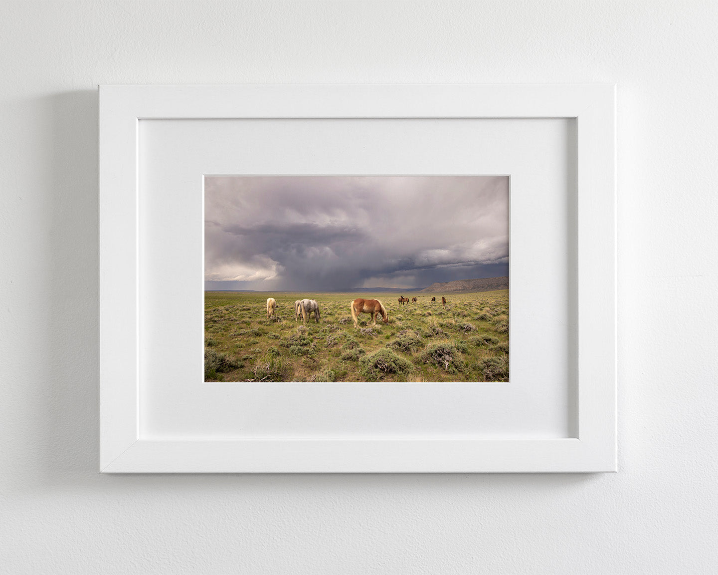 Grazing Before The Storm, Color Wild Horses
