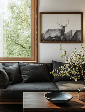 Winter Elk