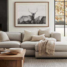 Winter Elk