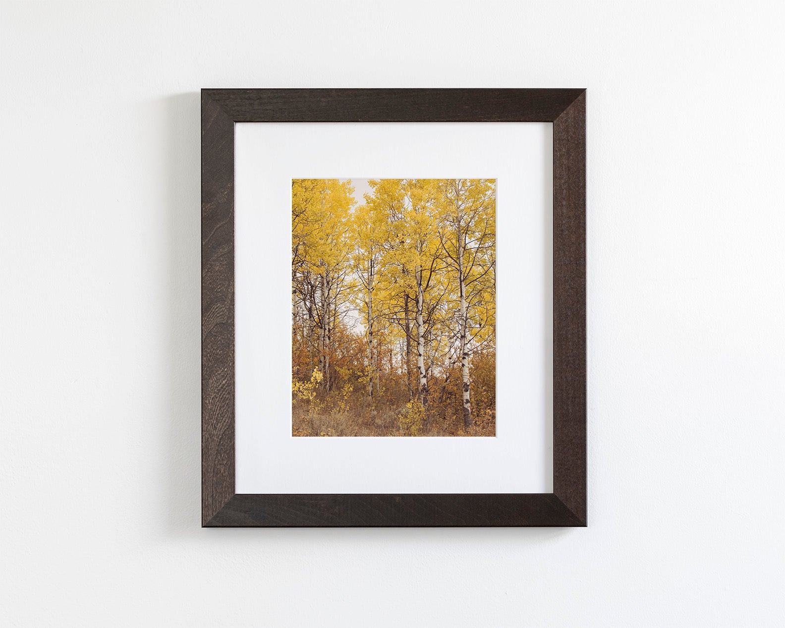 Yellow Aspens