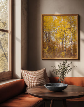 Yellow Aspens