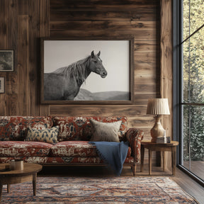 Wild Mare in Black and White
