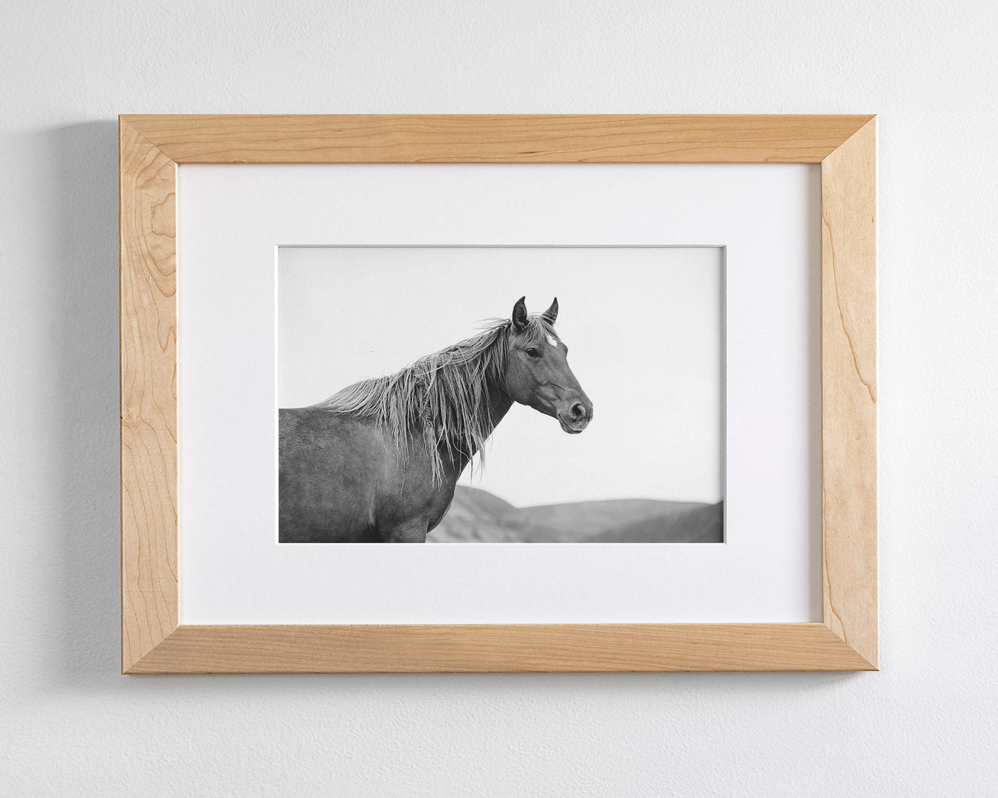 Wild Mare in Black and White
