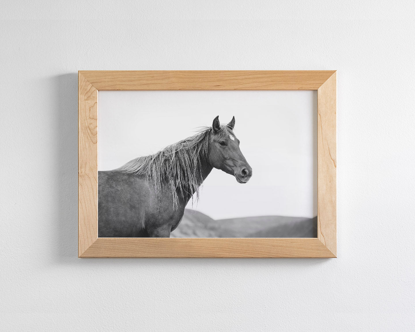 Wild Mare in Black and White