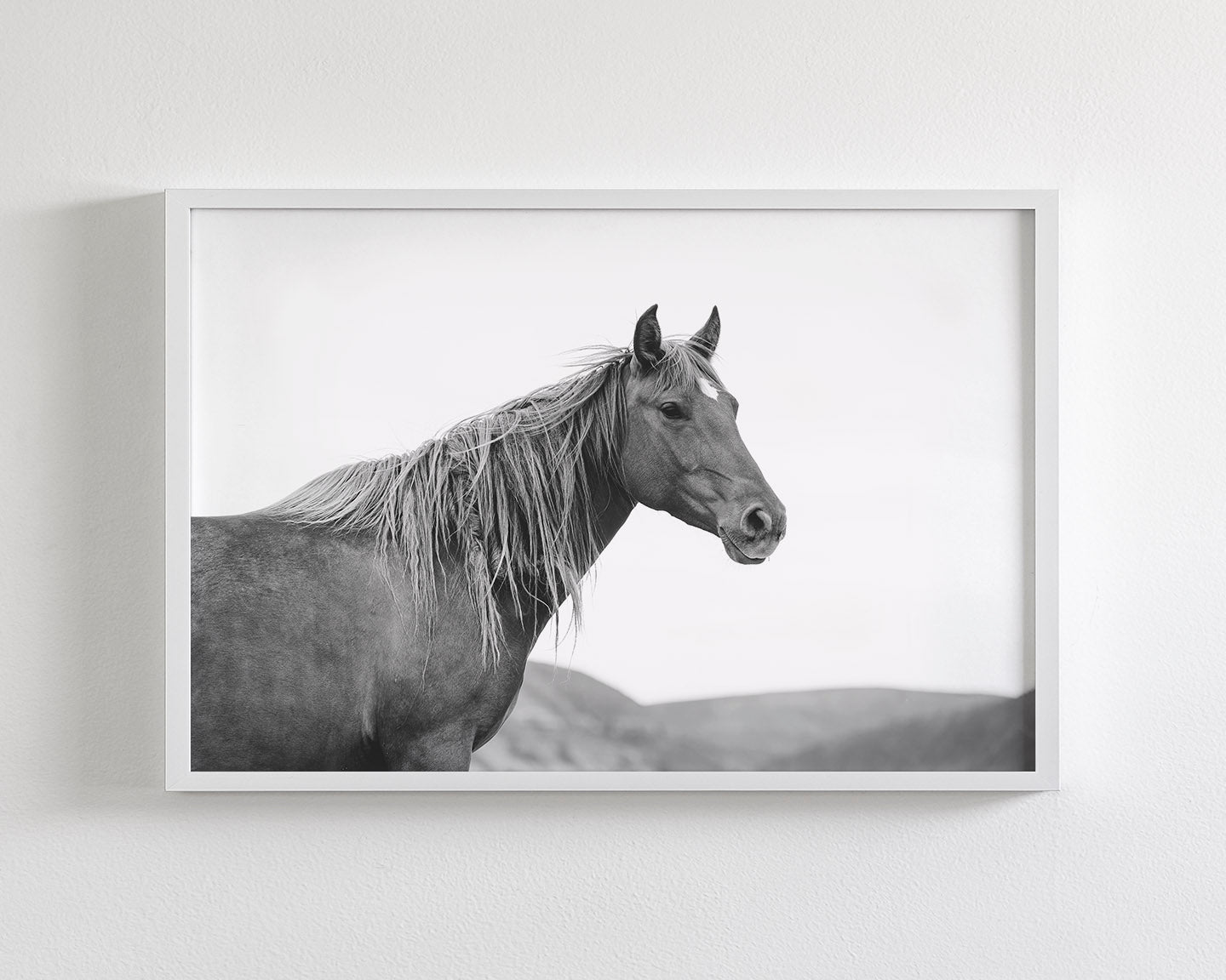 Wild Mare in Black and White