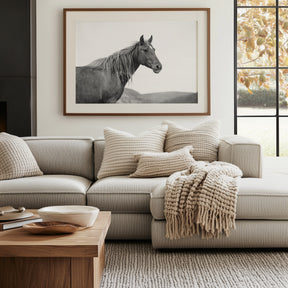 Wild Mare in Black and White