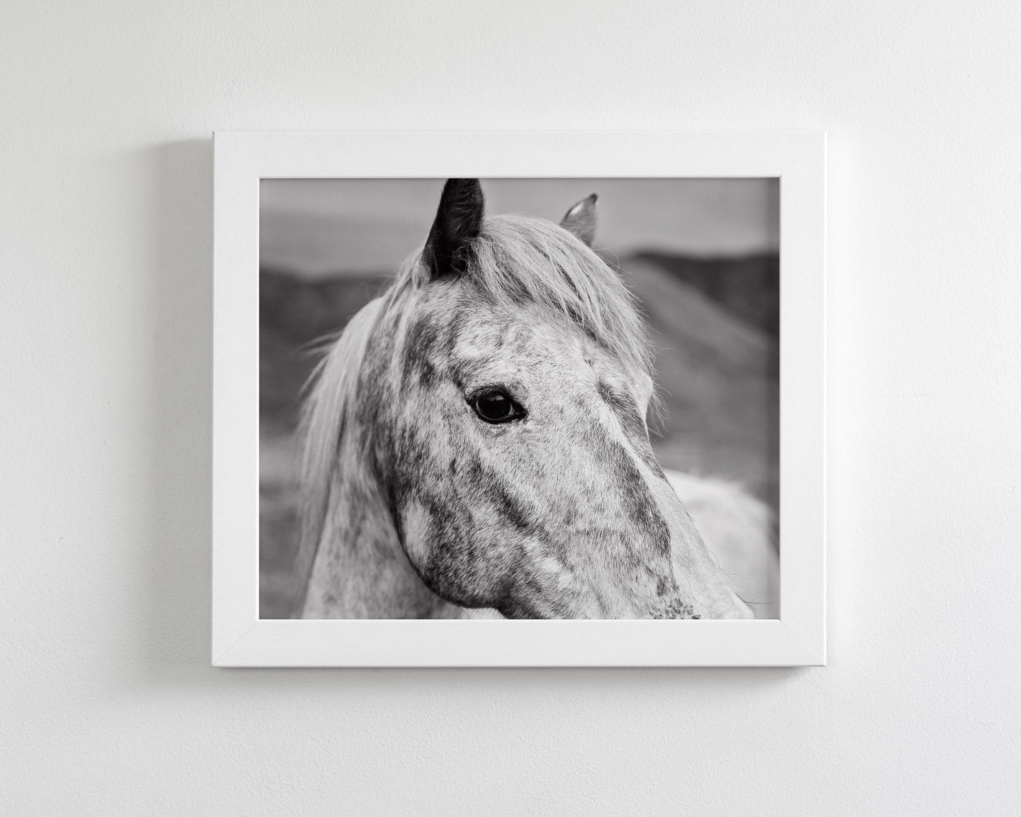 Black And White Horse Photography Prints black-and-white-horse-photography-prints