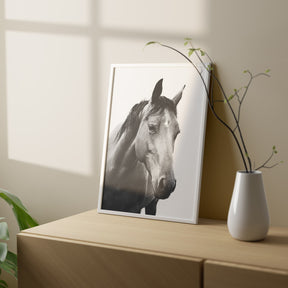 Modern Horse Portrait