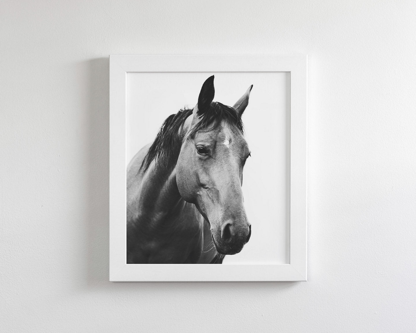 Modern Horse Portrait