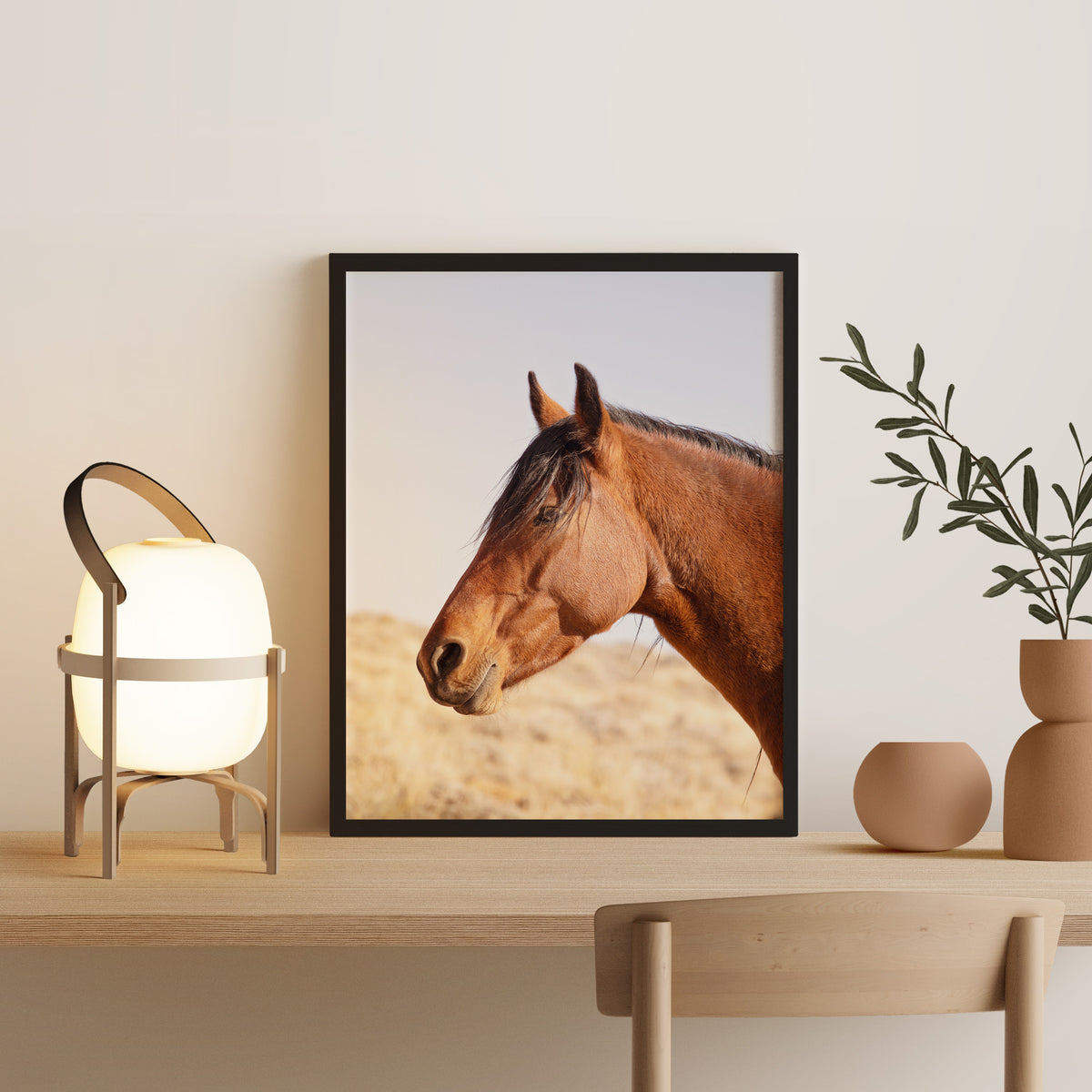 Wild Bay Horse Profile