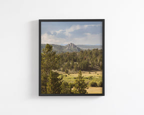 Bear Country Wyoming - Western Landscape