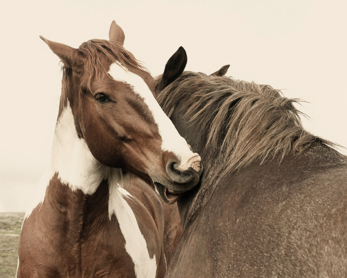 Best Buds
