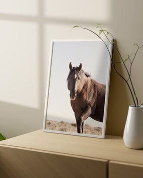 Wild Stallion Portrait