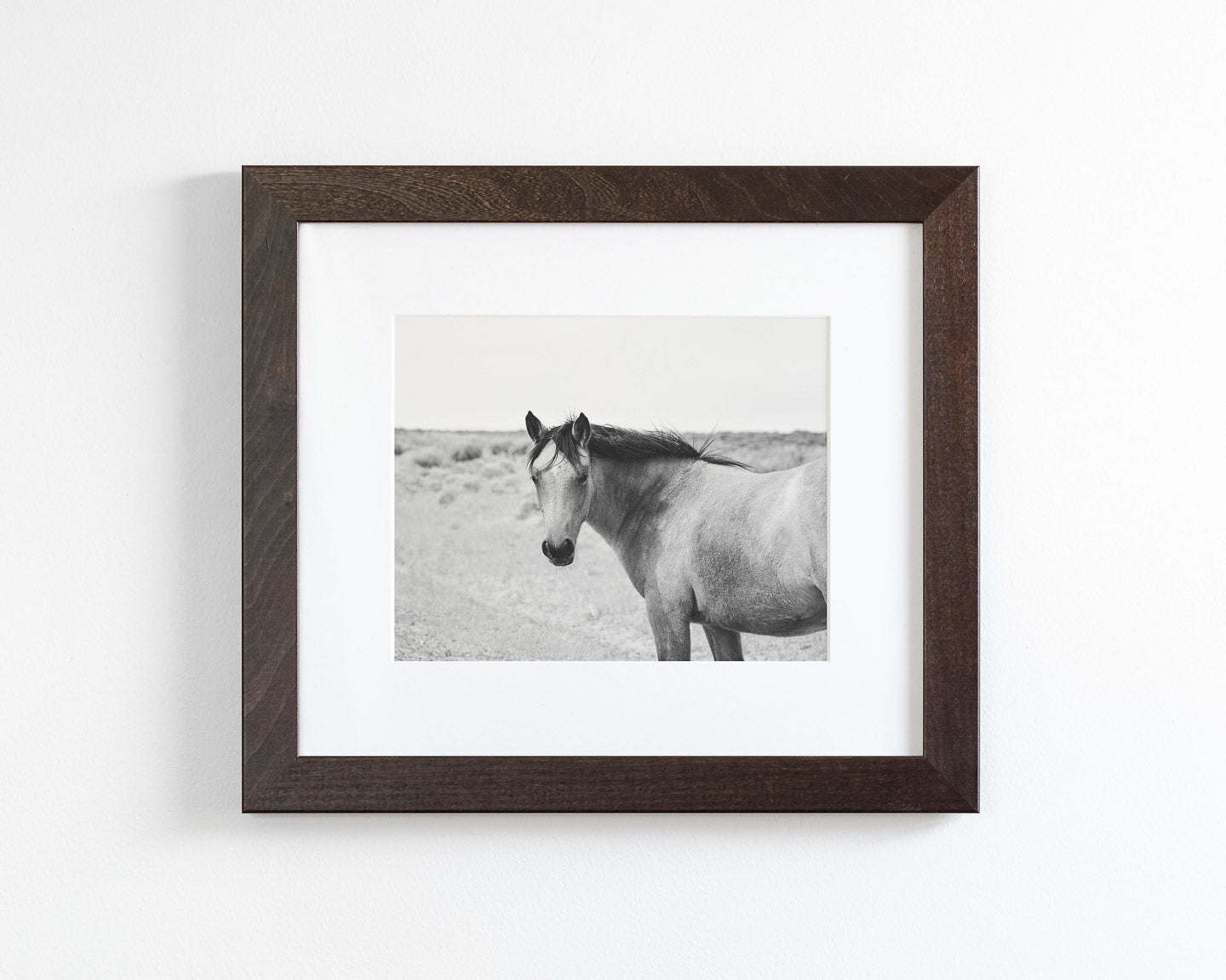 Buckskin Colt