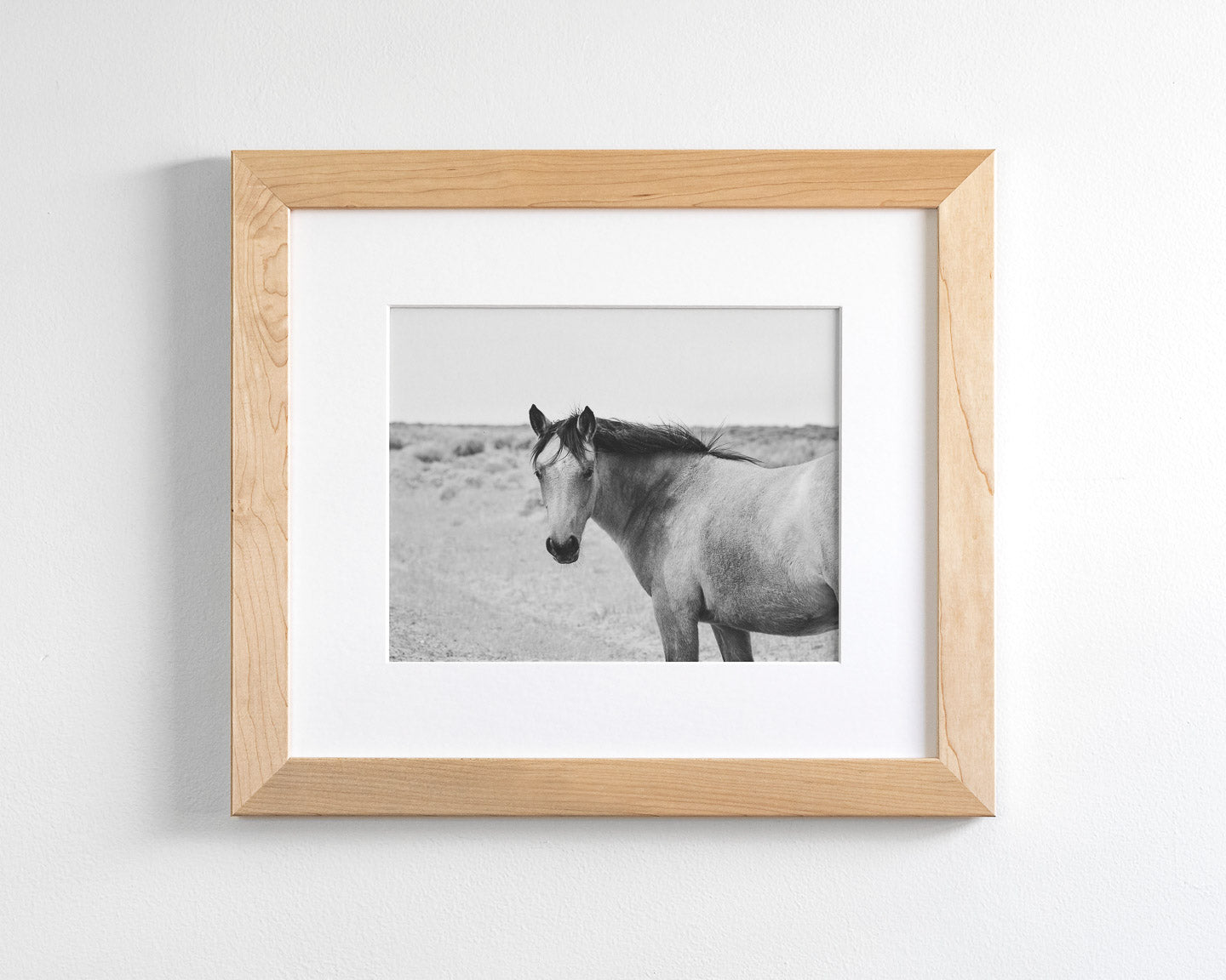 Buckskin Colt