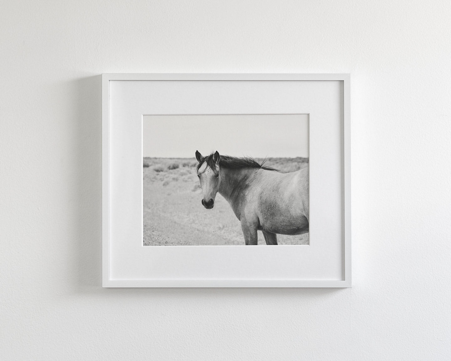 Buckskin Colt