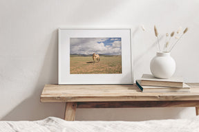Buckskin Horse Photograph in Color