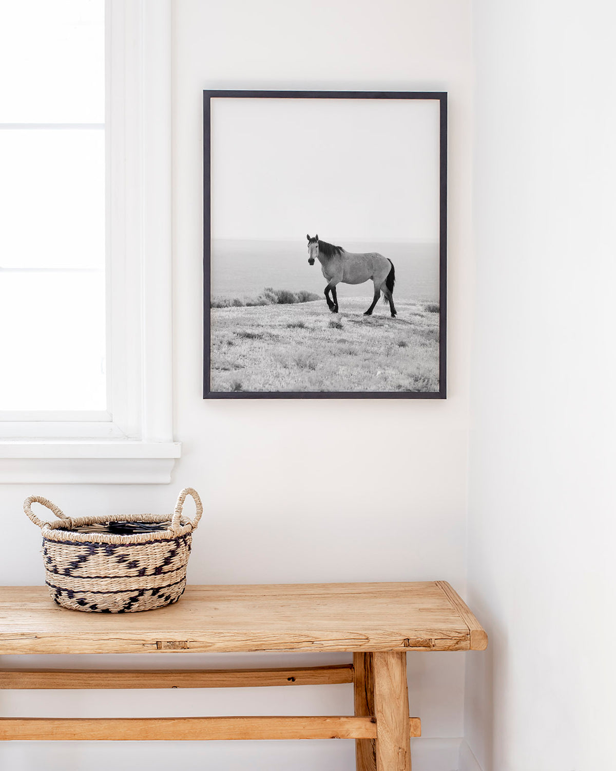 Buckskin Stallion, Green River