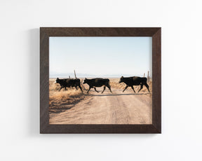 Cattle Guard