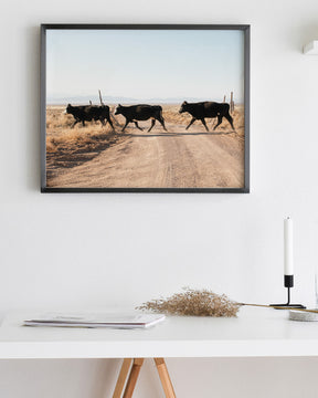 Cattle Guard