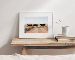Cattle Guard