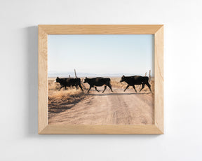 Cattle Guard