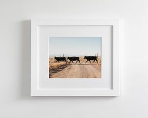 Cattle Guard